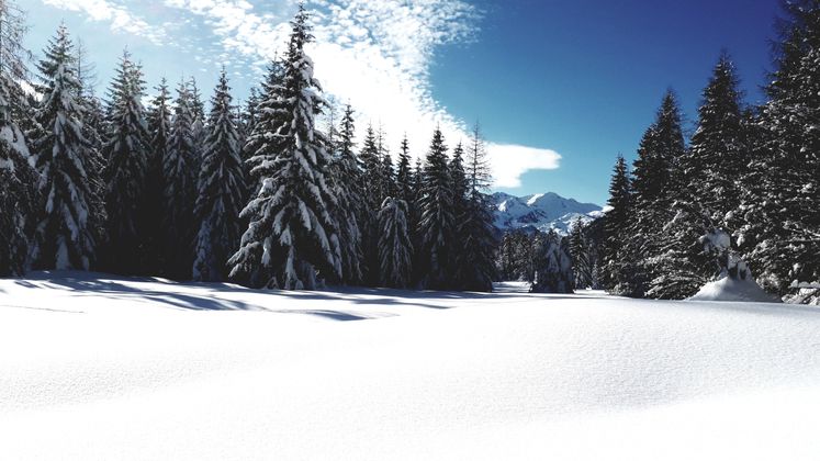 Winter in Hochfilzen.