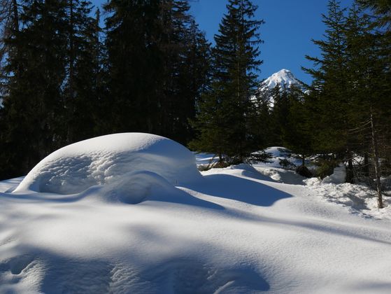 Schneeparadies in Hochimst.