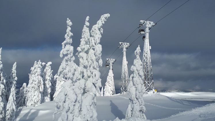 Fleckalmbahn – Schigebiet Kitzbühel/Kirchberg.