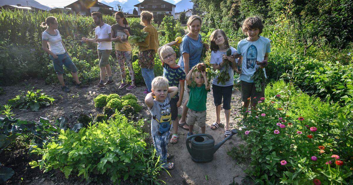 Eigenes Gemüse mit sozialem Nutzen Gemeinsam im Gemüsegarten Tiroler