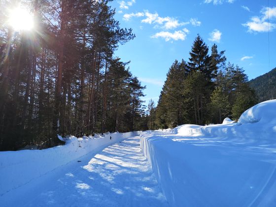 Spaziergang von Scharnitz nach Gießenbach.