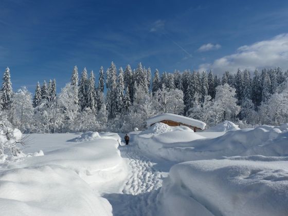 Going am Wilden Kaiser.