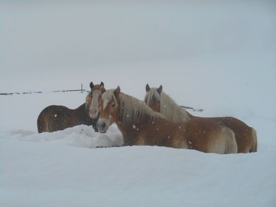 Drei Blondinen genießen den Schnee in vollen Zügen.