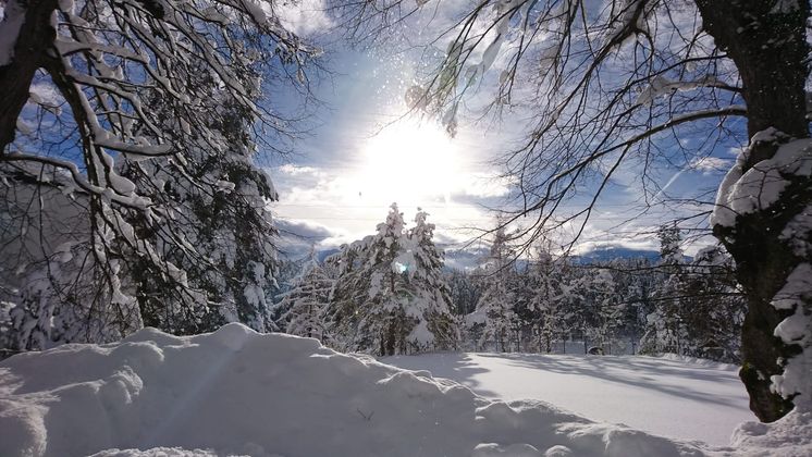 Winterlandschaft in Hall.