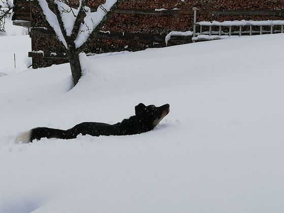 Aus Going am Wilden Kaiser.