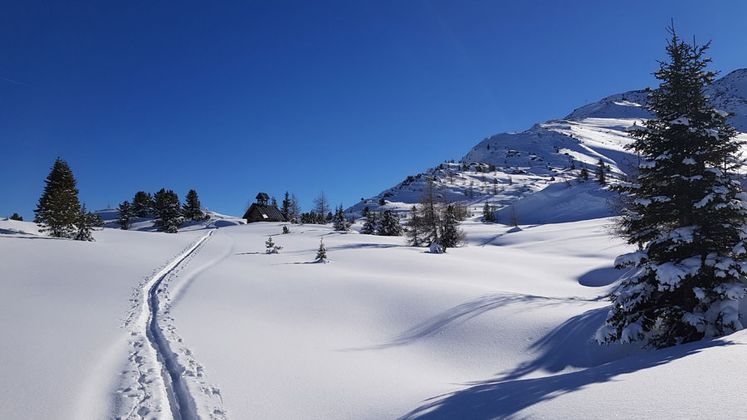 Skitour auf den Thialkopf im Oberland.