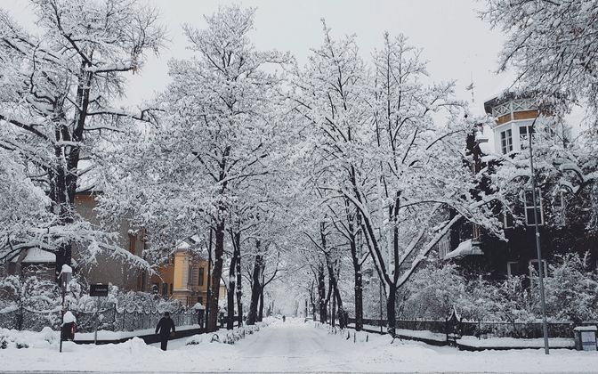 Der Innsbrucker Stadtteil Saggen im Winterkleid.