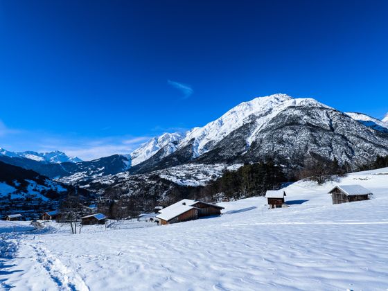 Wunderschönes Winterfoto.