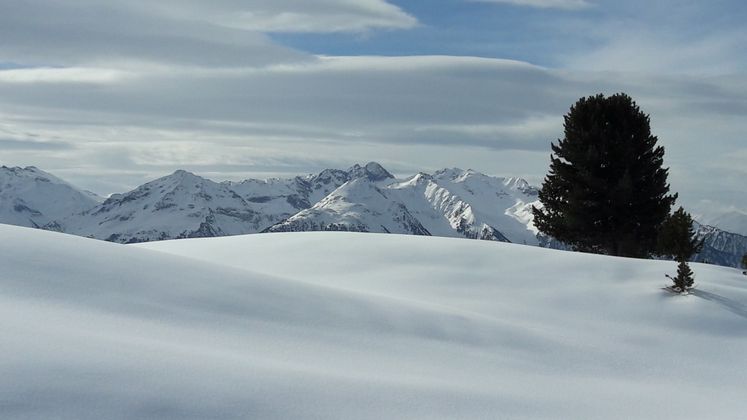 Die unberührten Feldringer Böden.