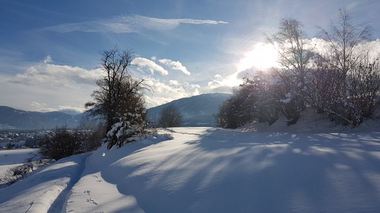 Winterwonderland in Natters.