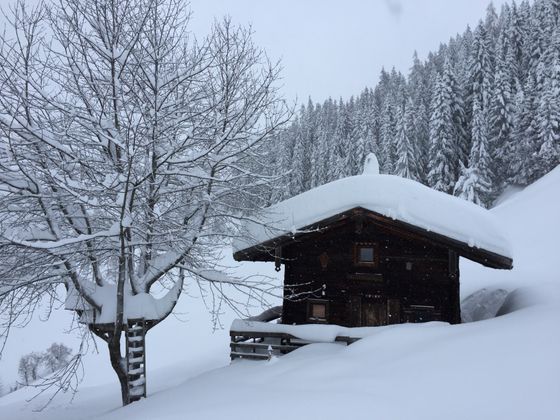 Tiefverschneites Alpbach.
