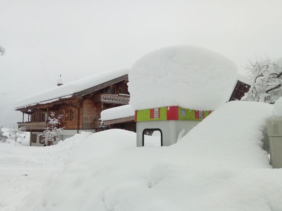 Die Telefonzelle versinkt im Schnee.