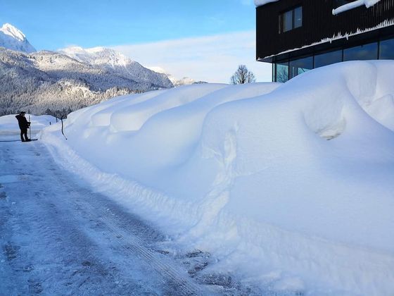Suchen Sie Ihre VW-Busse. Grüße vom Verkaufsleiter eines Autohauses in Reutte.