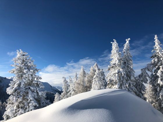 Am Weg zum  Pfrimesköpfl.