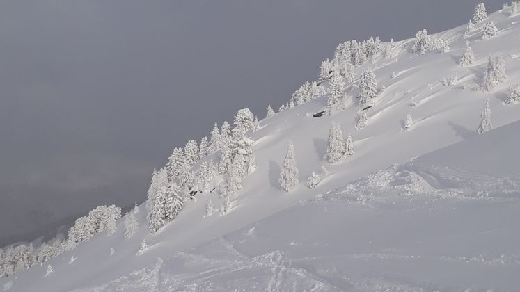 Tiefschneeparadies Venet Nord.