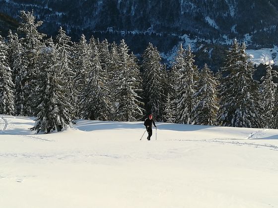 Winter in Reutte.