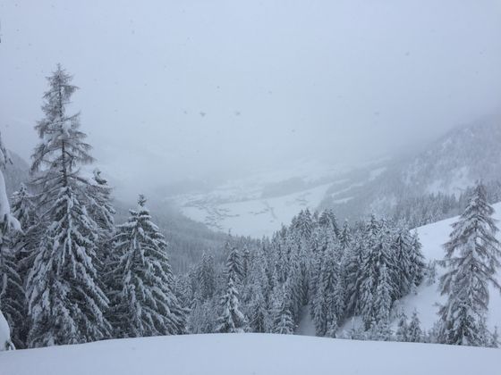 Tiefverschneites Alpbach.