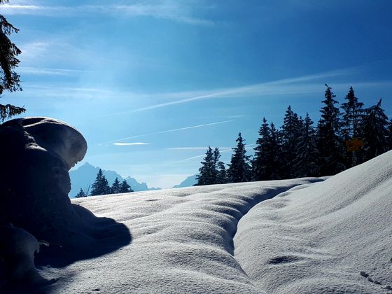 Schneeschuhwanderung in Richtung Rechenhof.