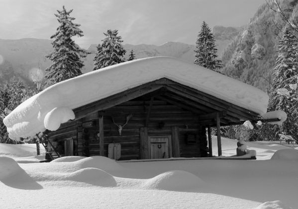 Voll eingeschneit! Sepp Greiderer war mit seiner Kamera unterwegs.