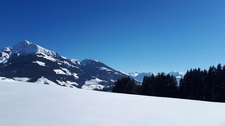 Die Auracher Berge mit dem Kitzbühler Horn.