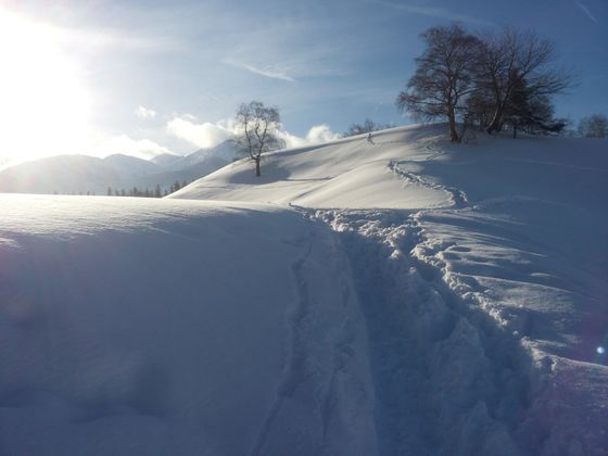 Michael Nöbauer schickte uns ein wunderschönes Schneefoto.