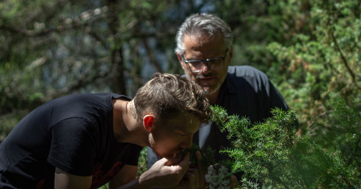 Bester Tirols Lechtaler Dry Gin vom Falstaff Tiroler