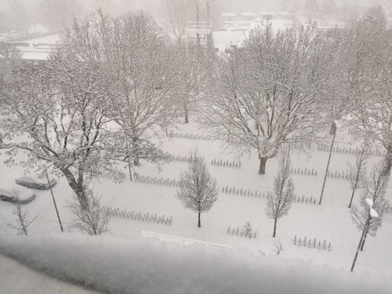 Das Innsbrucker Tivoli.