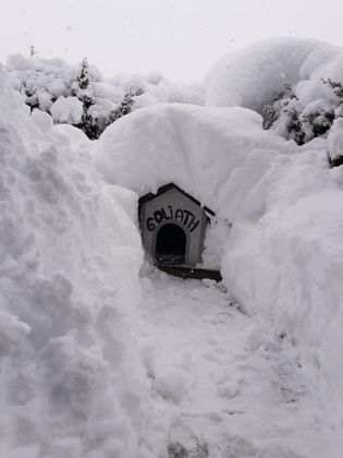 Wir senden Schneegrüße aus Hopfgarten. Die Straßensperre zum Haus unseres Hundes konnte wieder aufgehoben werden.