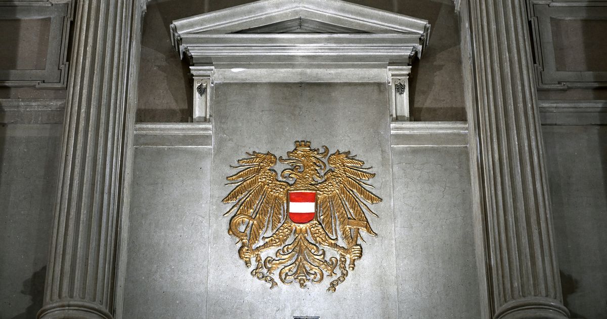 Dead baby in Vienna: Father (29) charged with murder | Tiroler ...