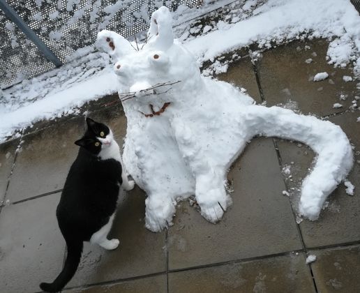 Eine Schneekatze in Silz.