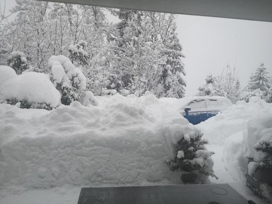 Garten-Impression aus Innsbruck (Hungerburg).