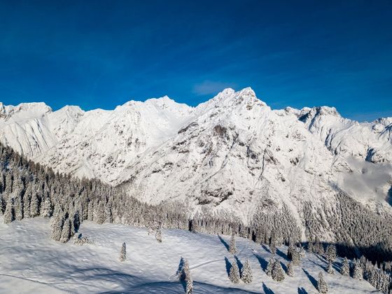 Winterlandschaft bei der Walderalm.